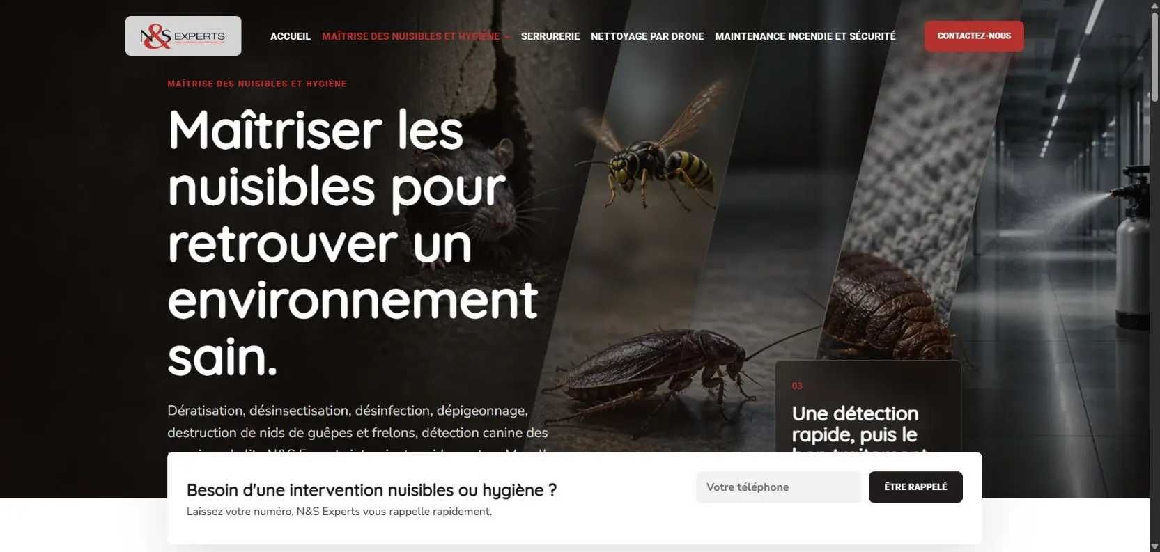 Présentation du pôle nuisibles et hygiène de N&S Experts